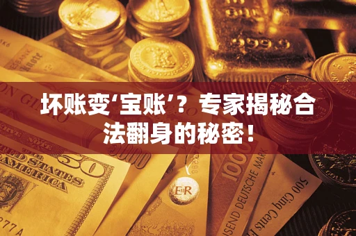济南坏账变‘宝账’？专家揭秘合法翻身的秘密！
