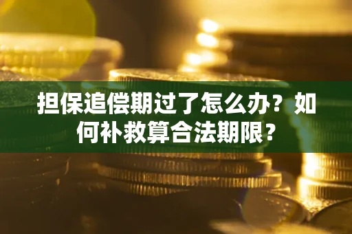 济南担保追偿期过了怎么办？如何补救算合法期限？