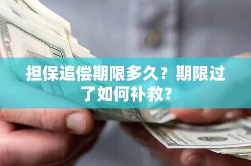 济南担保追偿期限多久？期限过了如何补救？