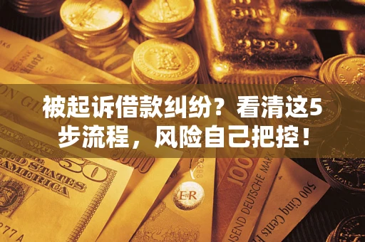 济南被起诉借款纠纷？看清这5步流程，风险自己把控！